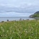 Crosses and gravestones lining the grass in a meadow overlooking the ocean